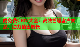 成免费CRM大全：高效管理客户关系，助力销售增长