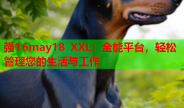 强16may18 XXL：全能平台，轻松管理您的生活与工作